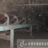 深圳煤礦井下上運(yùn)帶式輸送機(jī)