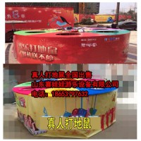 真人版打地鼠廠家直銷價(jià)格