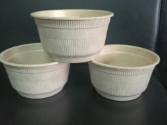 秸稈生態全降解餐具及包裝制品生產流水線