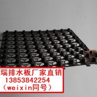 供應廊坊排水板，廊坊排水板廠家直銷13853842254