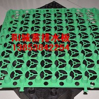 陽城小區屋頂綠化蓄排水板，廠家直供