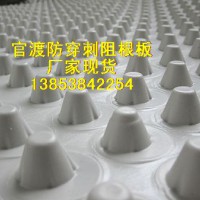 官渡屋面種植防穿刺阻根板，蓄排水板，廠家現(xiàn)貨