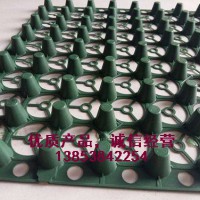 玉溪2公分車(chē)庫(kù)排水板，廠家供應(yīng)