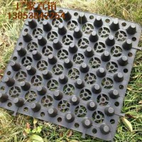 湛江全新料排水板廠商，地下室車(chē)庫(kù)排水防水