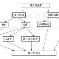 鉑思特低品位原生金礦石的生物柱浸工藝，選金尾礦渣回收金的設備