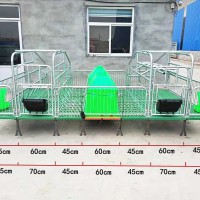 雙體母豬產(chǎn)床 母豬產(chǎn)仔欄廠家