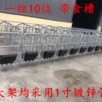 10豬位母豬定位欄生產(chǎn)廠家