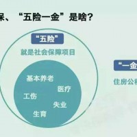 湛江員工社保代理，韶關(guān)單位社保代買，揭陽公司社保代交