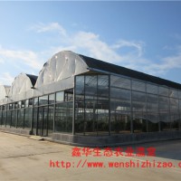好廠家推薦 薄膜溫室大棚 拱形薄膜溫室大棚 上門指導(dǎo)安裝