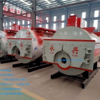 搪瓷反應(yīng)釜加熱3噸燃氣蒸汽鍋爐